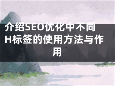 介绍SEO优化中不同H标签的使用方法与作用 