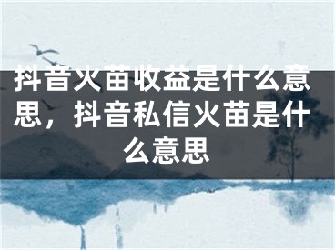 抖音火苗收益是什么意思，抖音私信火苗是什么意思