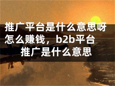 推广平台是什么意思呀怎么赚钱，b2b平台推广是什么意思