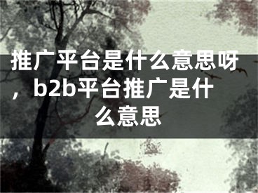 推广平台是什么意思呀，b2b平台推广是什么意思