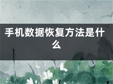 手机数据恢复方法是什么