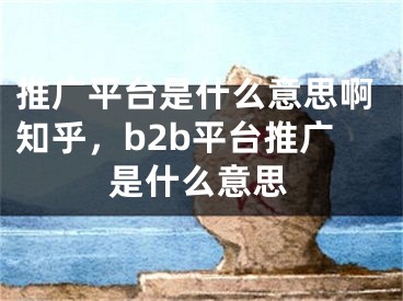 推广平台是什么意思啊知乎，b2b平台推广是什么意思