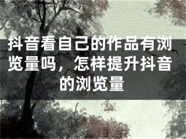 抖音看自己的作品有浏览量吗，怎样提升抖音的浏览量