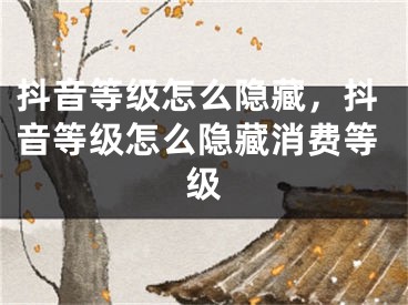 抖音等级怎么隐藏，抖音等级怎么隐藏消费等级