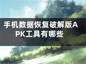 手机数据恢复破解版APK工具有哪些