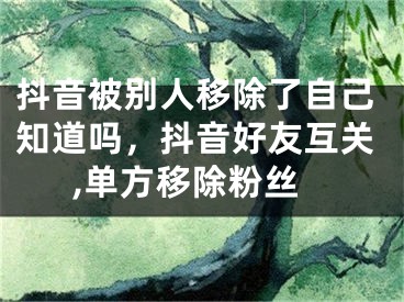 抖音被别人移除了自己知道吗，抖音好友互关,单方移除粉丝