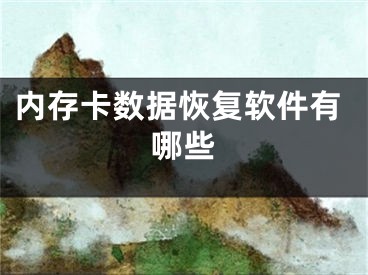 内存卡数据恢复软件有哪些