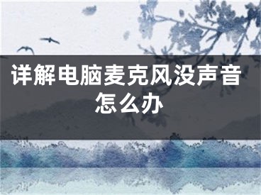详解电脑麦克风没声音怎么办
