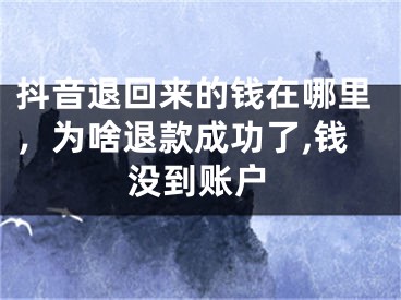 抖音退回来的钱在哪里，为啥退款成功了,钱没到账户