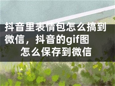 抖音里表情包怎么搞到微信，抖音的gif图怎么保存到微信