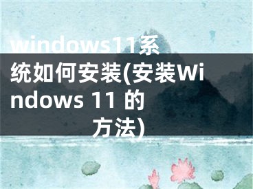 windows11系统如何安装(安装Windows 11 的方法)