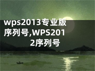 wps2013专业版序列号,WPS2012序列号