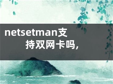 netsetman支持双网卡吗,