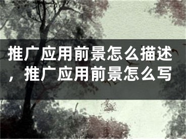推广应用前景怎么描述，推广应用前景怎么写