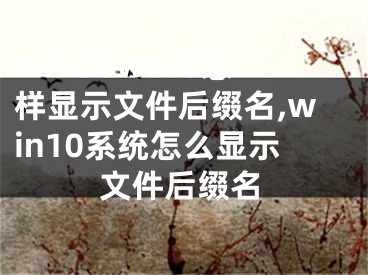 windows10怎样显示文件后缀名,win10系统怎么显示文件后缀名