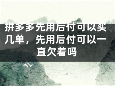 拼多多先用后付可以买几单，先用后付可以一直欠着吗