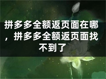 拼多多全额返页面在哪，拼多多全额返页面找不到了