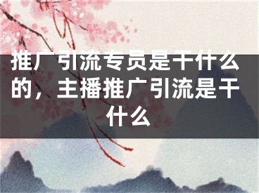 推广引流专员是干什么的，主播推广引流是干什么