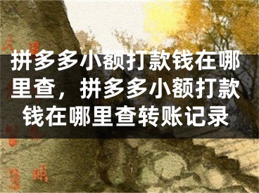 拼多多小额打款钱在哪里查，拼多多小额打款钱在哪里查转账记录