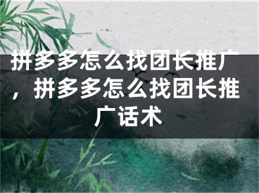 拼多多怎么找团长推广，拼多多怎么找团长推广话术