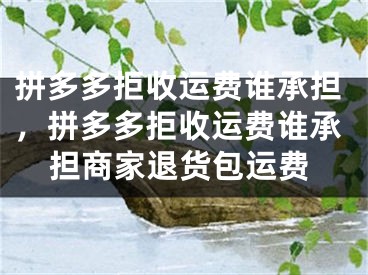 拼多多拒收运费谁承担，拼多多拒收运费谁承担商家退货包运费