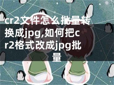 cr2文件怎么批量转换成jpg,如何把cr2格式改成jpg批量