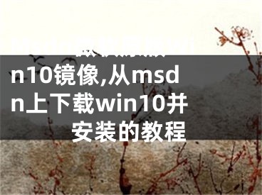 Msdn微软原版Win10镜像,从msdn上下载win10并安装的教程