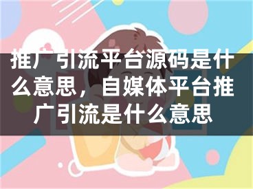 推广引流平台源码是什么意思，自媒体平台推广引流是什么意思