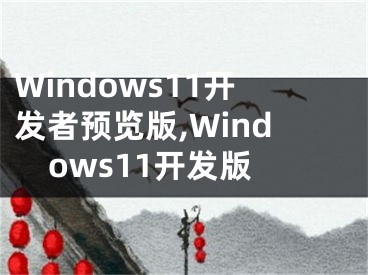 Windows11开发者预览版,Windows11开发版