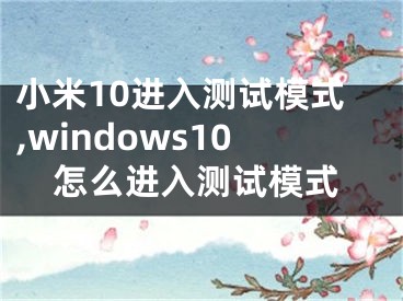 小米10进入测试模式,windows10怎么进入测试模式