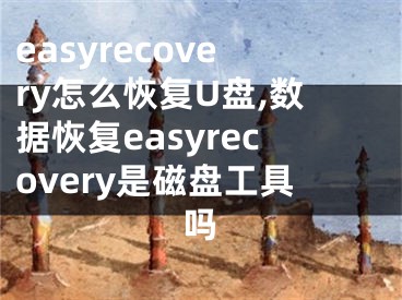 easyrecovery怎么恢复U盘,数据恢复easyrecovery是磁盘工具吗