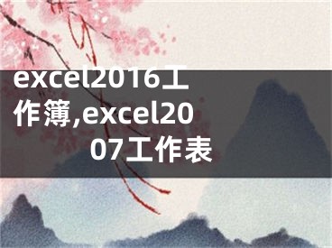 excel2016工作簿,excel2007工作表