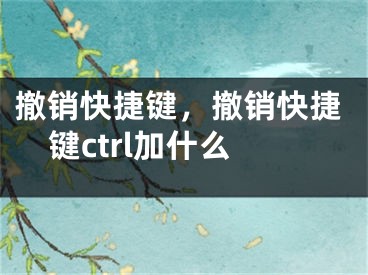 撤销快捷键，撤销快捷键ctrl加什么