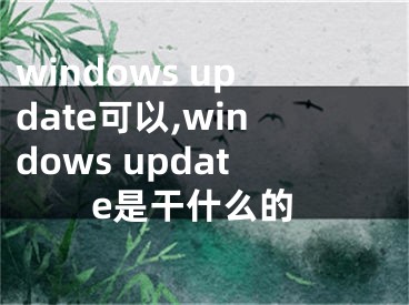 windows update可以,windows update是干什么的