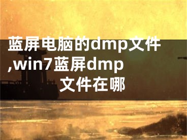 蓝屏电脑的dmp文件,win7蓝屏dmp文件在哪