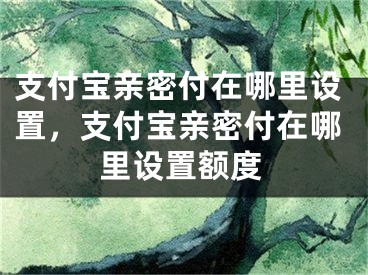 支付宝亲密付在哪里设置，支付宝亲密付在哪里设置额度