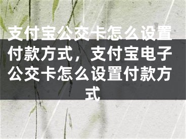 支付宝公交卡怎么设置付款方式，支付宝电子公交卡怎么设置付款方式