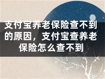 支付宝养老保险查不到的原因，支付宝查养老保险怎么查不到