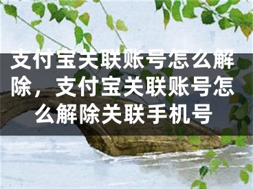 支付宝关联账号怎么解除，支付宝关联账号怎么解除关联手机号