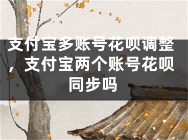 支付宝多账号花呗调整，支付宝两个账号花呗同步吗