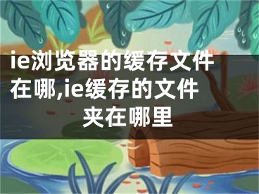 ie浏览器的缓存文件在哪,ie缓存的文件夹在哪里