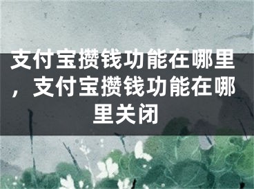 支付宝攒钱功能在哪里，支付宝攒钱功能在哪里关闭