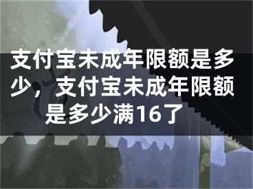 支付宝未成年限额是多少，支付宝未成年限额是多少满16了