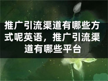 推广引流渠道有哪些方式呢英语，推广引流渠道有哪些平台