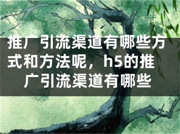 推广引流渠道有哪些方式和方法呢，h5的推广引流渠道有哪些