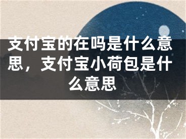 支付宝的在吗是什么意思，支付宝小荷包是什么意思