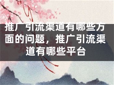 推广引流渠道有哪些方面的问题，推广引流渠道有哪些平台 