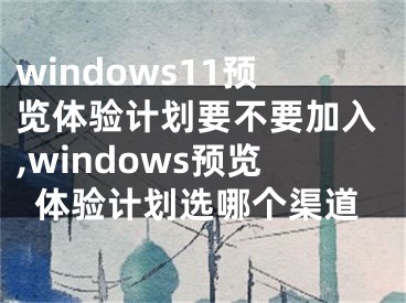 windows11预览体验计划要不要加入,windows预览体验计划选哪个渠道