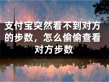 支付宝突然看不到对方的步数，怎么偷偷查看对方步数