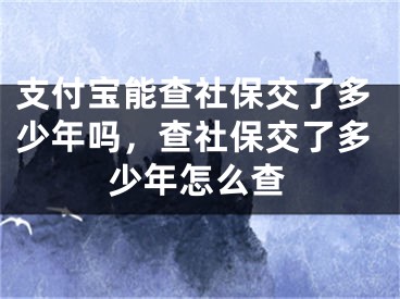 支付宝能查社保交了多少年吗，查社保交了多少年怎么查